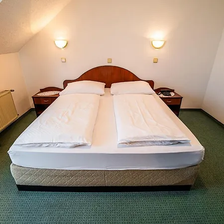 Гостевой дом Leski Dvor 3*