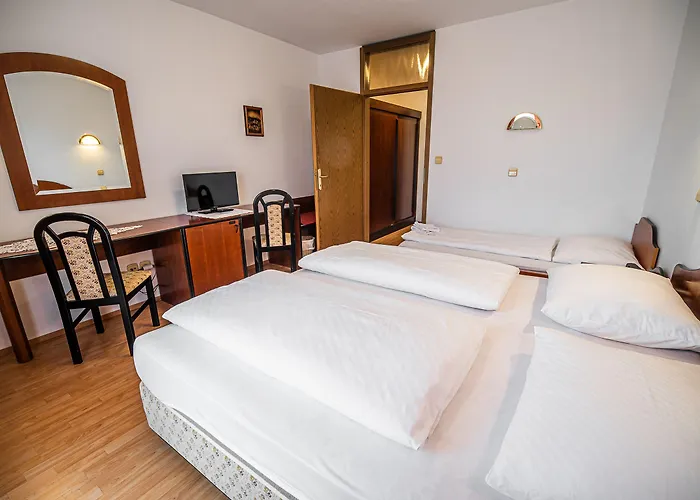 ゲストハウス Leski Dvor